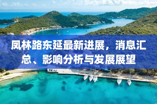 鳳林路東延最新進(jìn)展，消息匯總、影響分析與發(fā)展展望