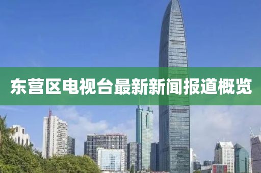 東營區(qū)電視臺最新新聞報道概覽