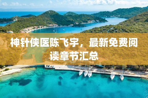 神針俠醫(yī)陳飛宇，最新免費(fèi)閱讀章節(jié)匯總