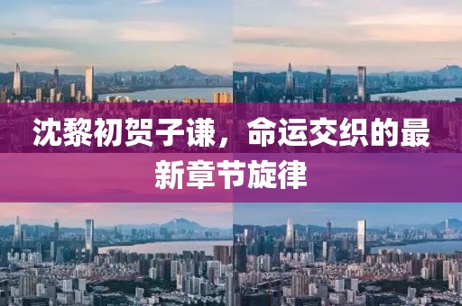 沈黎初賀子謙，命運交織的最新章節(jié)旋律