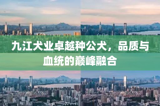 九江犬業(yè)卓越種公犬，品質(zhì)與血統(tǒng)的巔峰融合