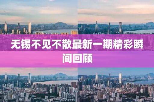 無錫不見不散最新一期精彩瞬間回顧