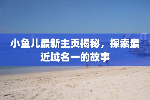 小魚兒最新主頁揭秘，探索最近域名一的故事
