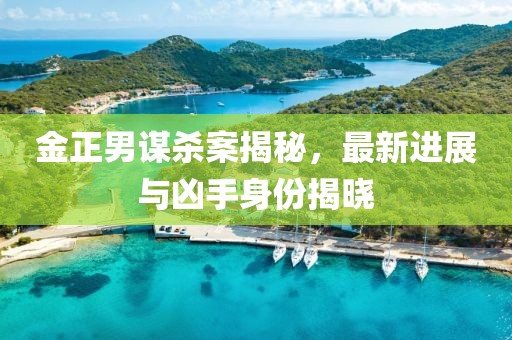 金正男謀殺案揭秘，最新進(jìn)展與兇手身份揭曉