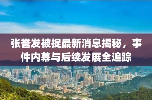 張譽發(fā)被捉最新消息揭秘，事件內幕與后續(xù)發(fā)展全追蹤