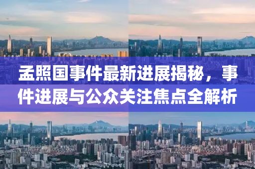 孟照國事件最新進展揭秘，事件進展與公眾關(guān)注焦點全解析