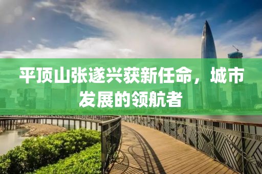 平頂山張遂興獲新任命，城市發(fā)展的領航者