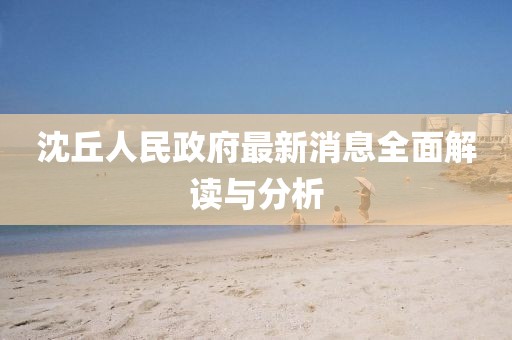 沈丘人民政府最新消息全面解讀與分析