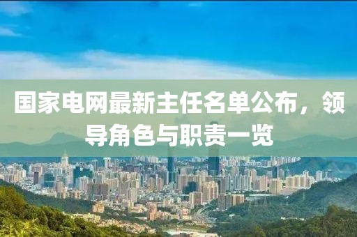 國(guó)家電網(wǎng)最新主任名單公布，領(lǐng)導(dǎo)角色與職責(zé)一覽