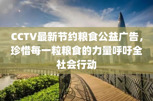 CCTV最新節(jié)約糧食公益廣告，珍惜每一粒糧食的力量呼吁全社會行動