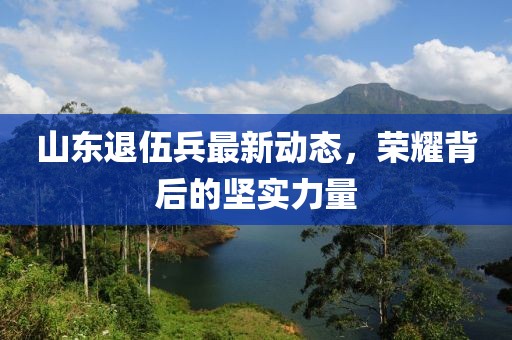 山東退伍兵最新動(dòng)態(tài)，榮耀背后的堅(jiān)實(shí)力量