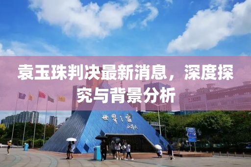 袁玉珠判決最新消息，深度探究與背景分析
