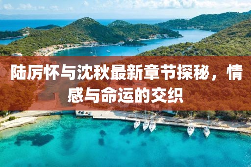 陸厲懷與沈秋最新章節(jié)探秘，情感與命運的交織