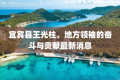 宜賓縣王光柱，地方領袖的奮斗與貢獻最新消息