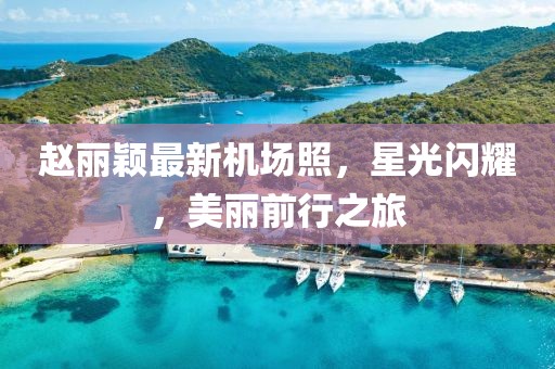趙麗穎最新機(jī)場(chǎng)照，星光閃耀，美麗前行之旅