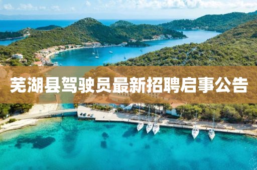 蕪湖縣駕駛員最新招聘啟事公告