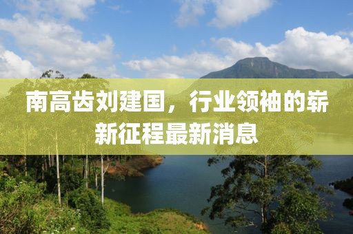南高齒劉建國，行業(yè)領袖的嶄新征程最新消息