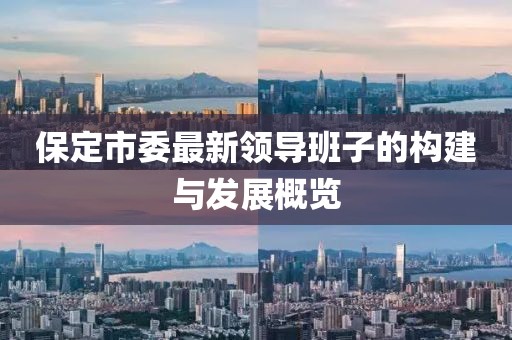 保定市委最新領(lǐng)導(dǎo)班子的構(gòu)建與發(fā)展概覽