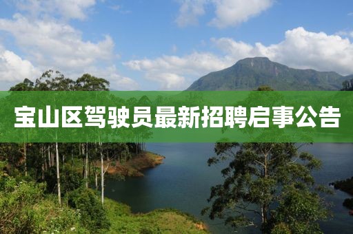 寶山區(qū)駕駛員最新招聘啟事公告