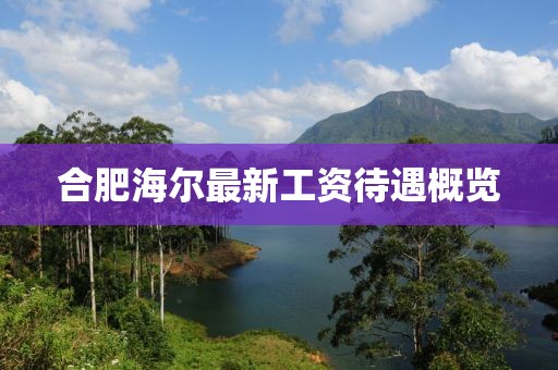 合肥海爾最新工資待遇概覽