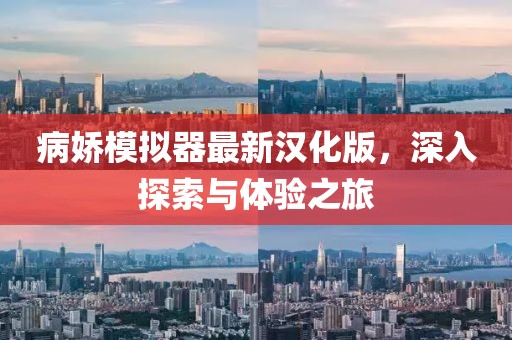病嬌模擬器最新漢化版，深入探索與體驗(yàn)之旅