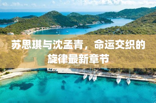 蘇思琪與沈孟青，命運交織的旋律最新章節(jié)
