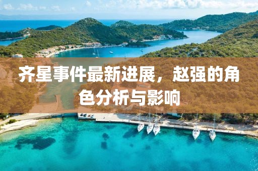 齊星事件最新進展，趙強的角色分析與影響