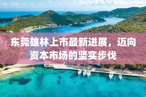 東莞雄林上市最新進展，邁向資本市場的堅實步伐