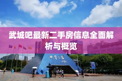 武城吧最新二手房信息全面解析與概覽