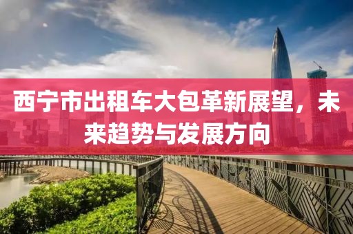 西寧市出租車大包革新展望，未來趨勢與發(fā)展方向