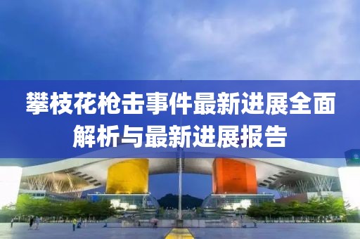 攀枝花槍擊事件最新進(jìn)展全面解析與最新進(jìn)展報告