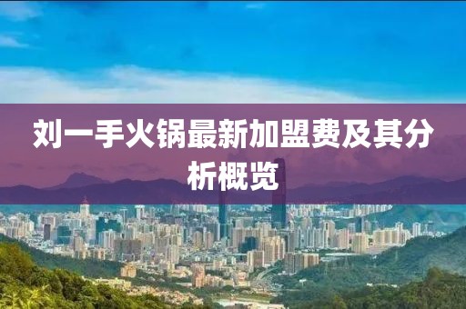 劉一手火鍋?zhàn)钚录用速M(fèi)及其分析概覽