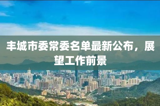 豐城市委常委名單最新公布，展望工作前景