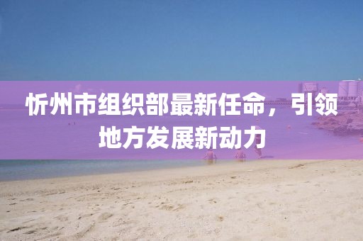 忻州市組織部最新任命，引領(lǐng)地方發(fā)展新動力