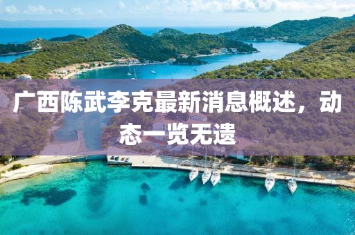 廣西陳武李克最新消息概述，動(dòng)態(tài)一覽無(wú)遺