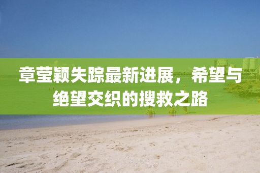 章瑩穎失蹤最新進(jìn)展，希望與絕望交織的搜救之路