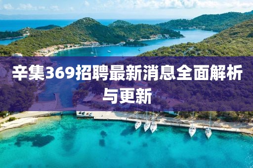 辛集369招聘最新消息全面解析與更新