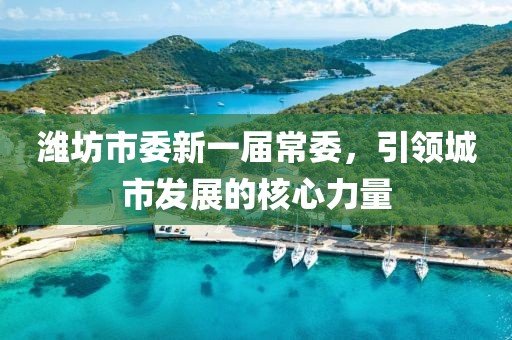 濰坊市委新一屆常委，引領(lǐng)城市發(fā)展的核心力量