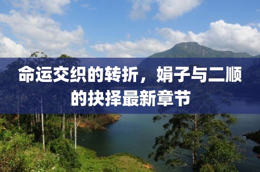 命運(yùn)交織的轉(zhuǎn)折，娟子與二順的抉擇最新章節(jié)