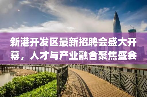 新港開發(fā)區(qū)最新招聘會盛大開幕，人才與產(chǎn)業(yè)融合聚焦盛會