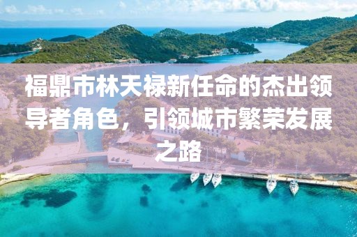 福鼎市林天祿新任命的杰出領導者角色，引領城市繁榮發(fā)展之路