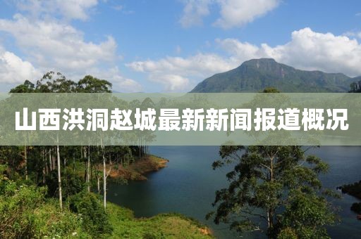 山西洪洞趙城最新新聞報(bào)道概況