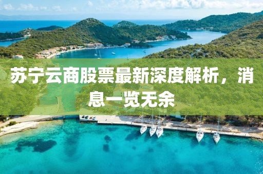 蘇寧云商股票最新深度解析，消息一覽無余