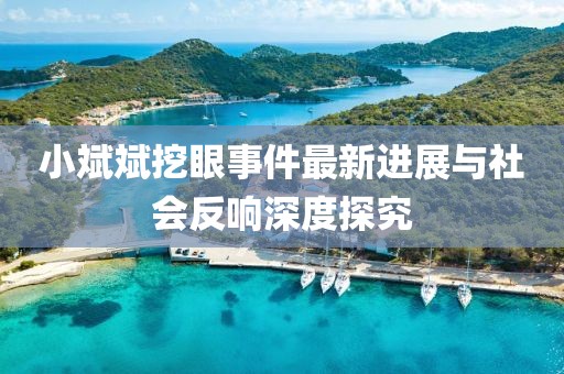 小斌斌挖眼事件最新進展與社會反響深度探究