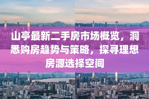 山亭最新二手房市場(chǎng)概覽，洞悉購房趨勢(shì)與策略，探尋理想房源選擇空間
