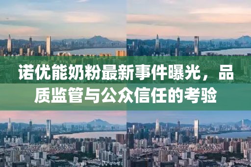 諾優(yōu)能奶粉最新事件曝光，品質(zhì)監(jiān)管與公眾信任的考驗
