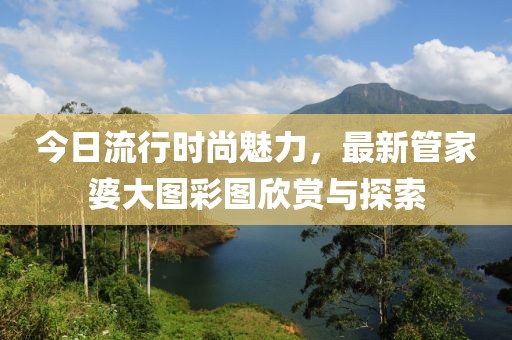 今日流行時尚魅力，最新管家婆大圖彩圖欣賞與探索