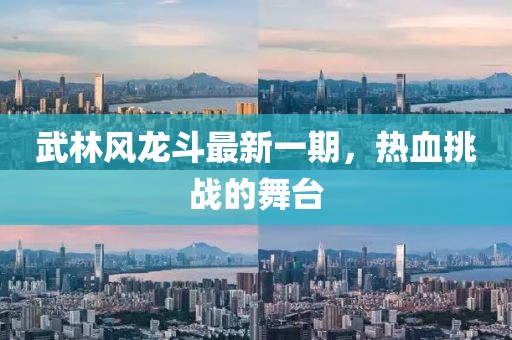 武林風(fēng)龍斗最新一期，熱血挑戰(zhàn)的舞臺(tái)