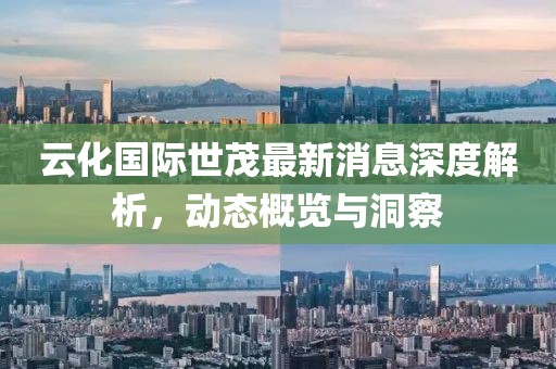 云化國際世茂最新消息深度解析，動態(tài)概覽與洞察