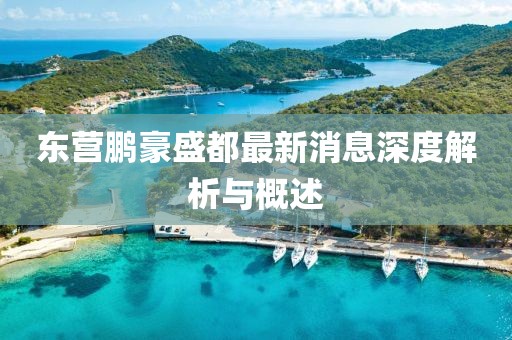 東營(yíng)鵬豪盛都最新消息深度解析與概述